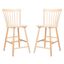 Galena Counter Stool BST8503C Set of 2
