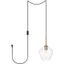 Gene 1 Light Brass And Clear Glass Plug-In Pendant