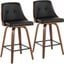 Gianna Counter Stool Set of 2 In Black