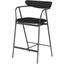 Gianni Counter Stool In Activated Charcoal