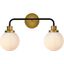 Hanson 2 Lights Bath Sconce In Black With Brass With Frosted Shade