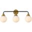 Hanson 3 Lights Bath Sconce In Black With Brass With Frosted Shade