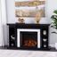 Henstinger Electric Fireplace With Bookcase In Black