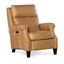 Hurley Power Recliner with Power Headrest In Brown