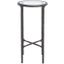 Jessa Metal Tall Round End Table In Black