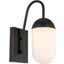 Kace 1 Light Black And Frosted White Glass Wall Sconce LD6169BK