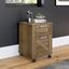 Kathy Ireland Home by Bush Furniture Cottage Grove 2 Drawer Mobile File Cabinet in Reclaimed Pine