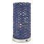 Kirin 15 Inch Blue Water Hyacinth Table Lamp with Usb Port