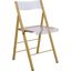 LeisureMod Menno Clear Acrylic Gold Base Folding Chair