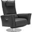 Liliana Anthracite Leather Reclining Swivel Accent Chair