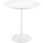 Lippa 20 Inch Round Side Table In White White