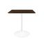 Lippa 28 Inch Square Dining Table