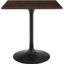 Lippa 28 Inch Wood Square Dining Table In Walnut and Black