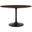 Lippa 47 Inch Wood Dining Table In Walnut and Black