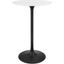 Lippa Black and White 28 Inch Round Wood Bar Table