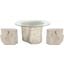 Log Off White 60 Inch Glass Top Dining Room Set