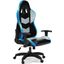 Lynxtyn Black/Gray Home Office Swivel Desk Chair