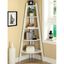 Lyss Ladder Shelf In White