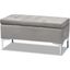 Mabel Modern and Contemporary Transitional Grey Velvet Fabric Upholstered Silver Finished Storage Ottoman