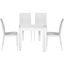Mace 5 Piece Outdoor Dining Set In White
