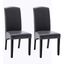 Modern Dining Chairs Set of 2 In Dark Gray