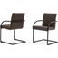 Modrest Ivey Modern Brown Dining Chair Set Of 2