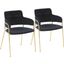 Napoli Contemporary Chair In Gold Metal And Black Velvet - Set Of 2