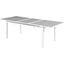 Nizuc Wood Look Accent Paneling Outdoor Patio Extendable Aluminum Dining Table In Grey