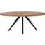 Parq Cappuccino Oval Dining Table