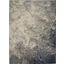 Passion Charcoal And Ivory 4 X 6 Area Rug