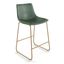 Petra Counter Height Stool with Gold Frame Set of 2 In Green