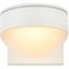 Raine Integrated Led Wall Sconce In White LDOD4014WH