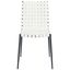 Rayne Woven Dining Chair Set of 2 in White and Black