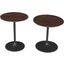 Remy Solid Wood and Iron Modern Pedestal Accent Tables Set of 2 In Gunmetal