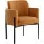 Richie Dining Armchair In Black And Danny Amber