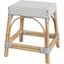 Robias Rattan Rectangular 18 Inch Dining Stool In Gray and White Dot