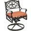 Sanibel Bronze Outdoor Swivel Rocking Chair 6655-53C