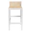 Sherry Counter Height Stool with Natural Cane In White