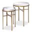 Side Table Hoxton Brushed Brass Finish Set Of 2