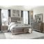 Tamsin Silver Gray Metallic Storage Platform Bedroom Set