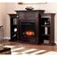 Tennyson Touch Screen Electric Fireplace With Bookcases In Espresso