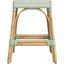 Tobias 24.5 Inch Rattan White And Green Counter Stool