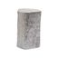 Trunk Segment Silver Leaf Accent Table