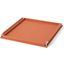 Wrapped Handle Large Tray In Coral Leather