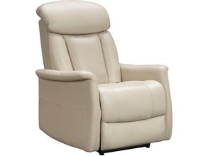 Simeon Collection Gemini Power Lift Recliner with Power Headrest