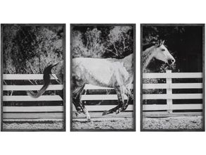 Baxton Studio Rialto Bridge Mounted Photography Print Triptych