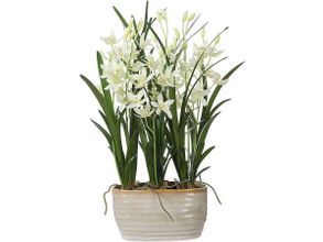Ariana Orchid Planter In White